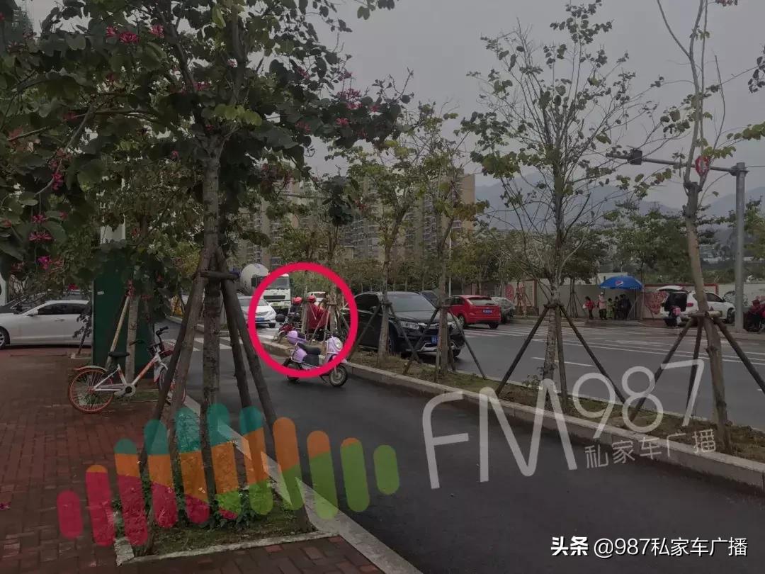 福州梁厝鹿岛公园免费,福建鹿岛公园最新消息