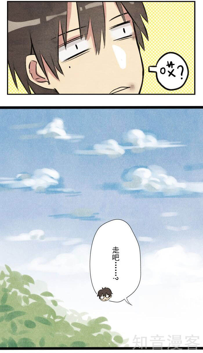 猫和铲屎官的日常生活漫画,猫和铲屎官的日常漫画