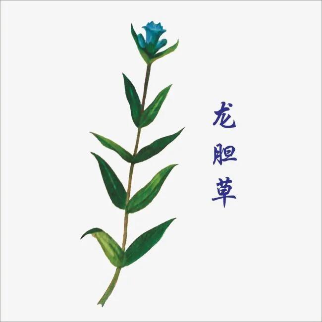 中医治疗耳鸣常用药,耳鸣和脑鸣的中医秘方