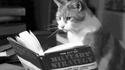 亲测好用的护发素有哪些,头发像草一样护发素推荐