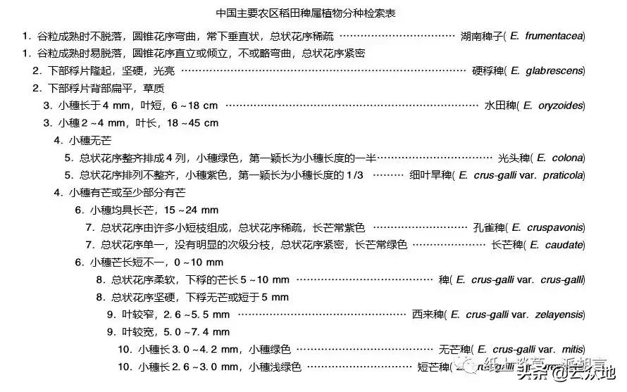 防除稗草,抗性稗草与普通稗草区别