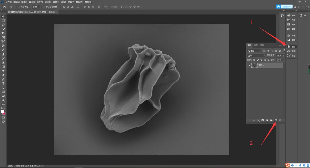 ppt如何对电镜扫描的元素重新着色,ppt怎么给扫描电镜图片排版