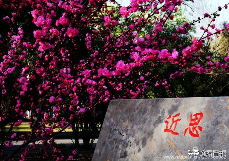 山西农大美丽的校园,山西农大校园风光