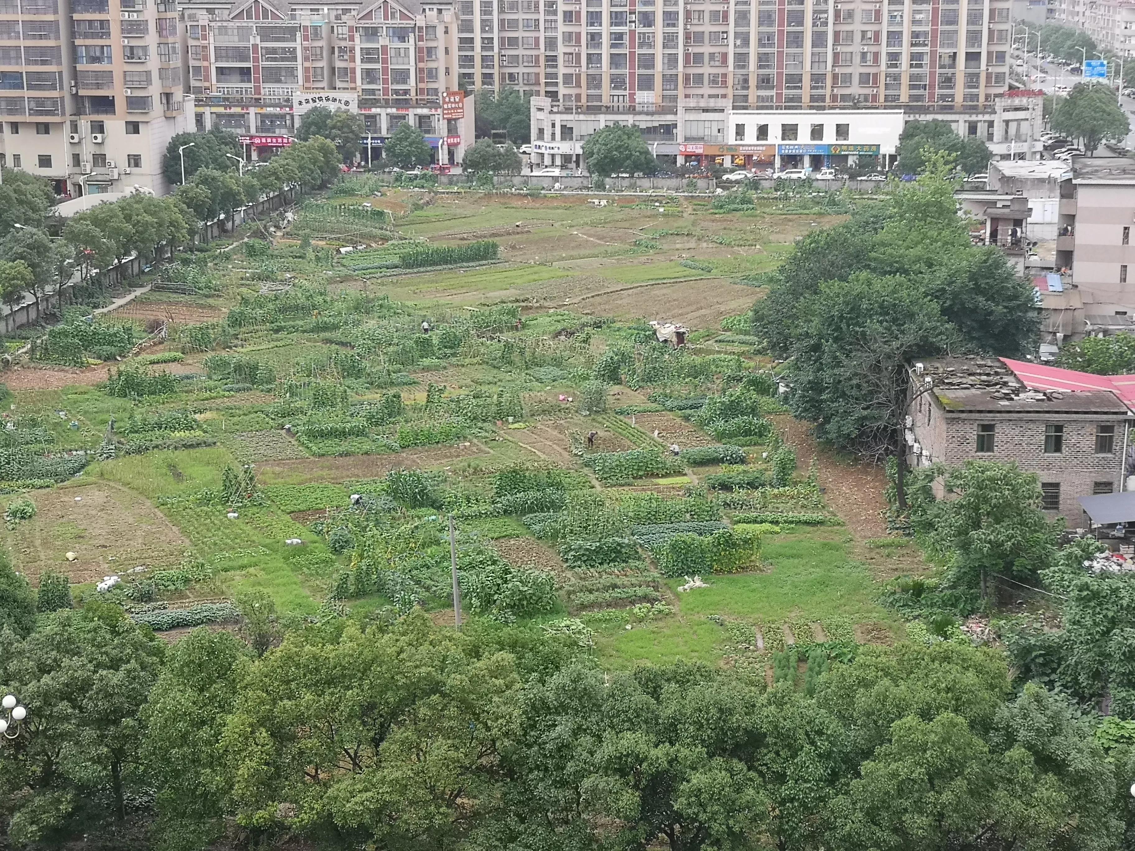 管中窥豹从中得到的启示,管中窥豹知天下