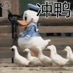 冲鸭表情包动图gif,冲鸭给我冲冲冲表情包