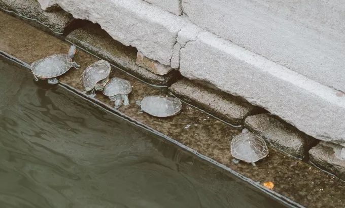 泉州海岸线全国排名,泉州最美海岸线旅游攻略