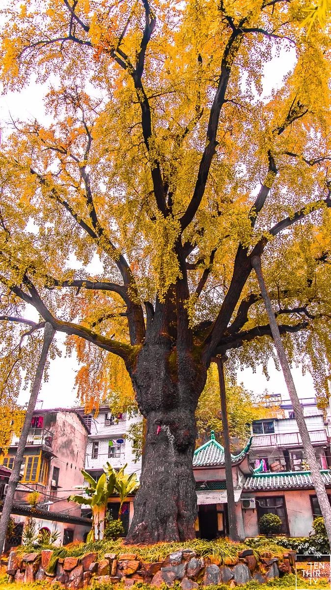 武汉未来10年重点发展哪个片区,武汉未来升值空间最大的片区