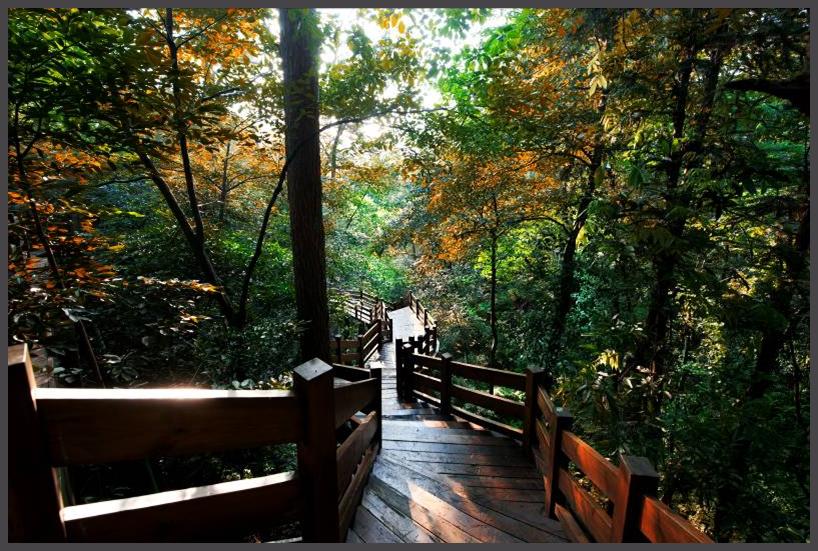 川西泡温泉看雪景,川西12月份最佳雪景泡温泉的地方