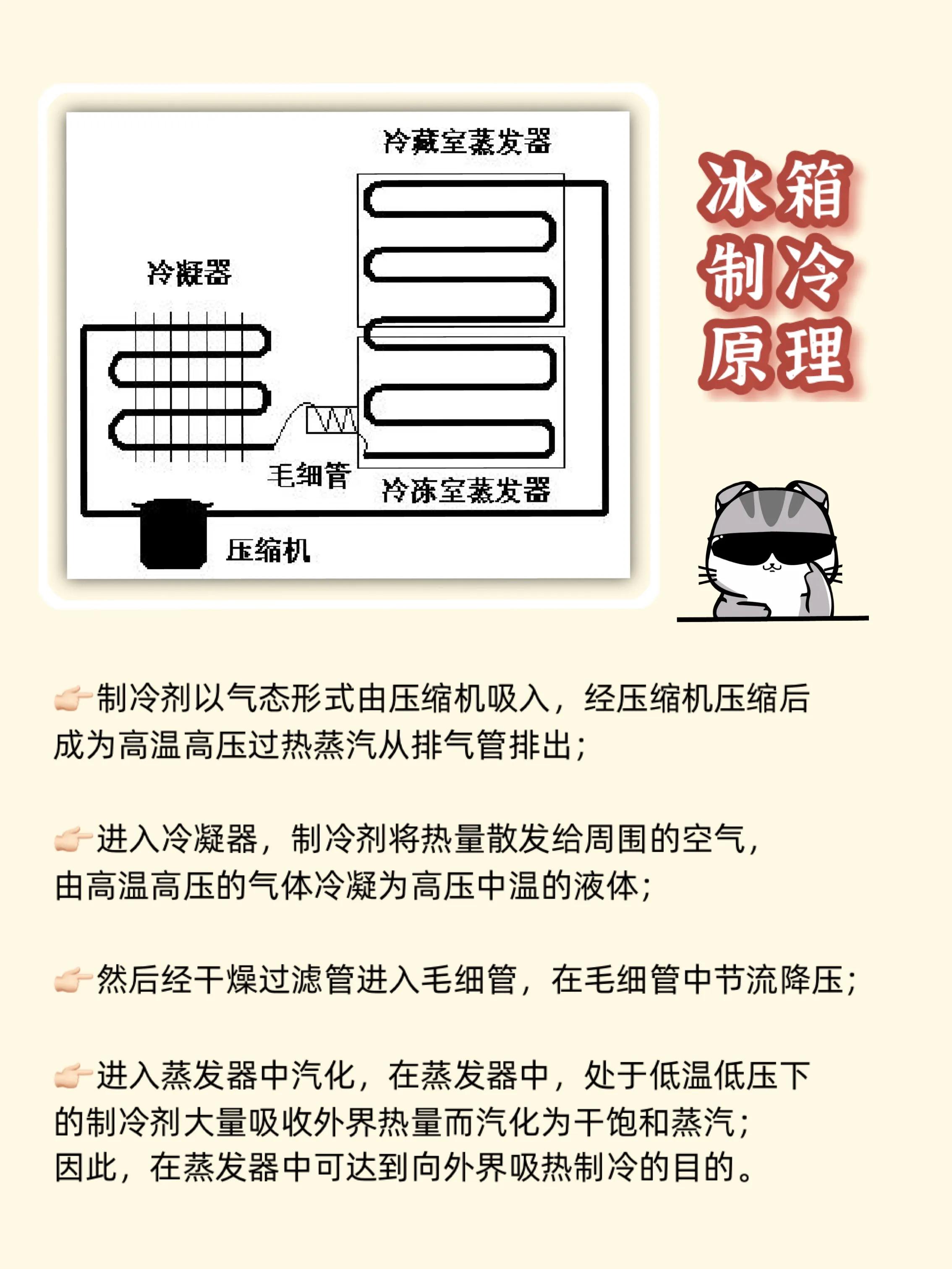 对开冰箱都是单循环吗,冰箱怎么选记住这8点不踩坑