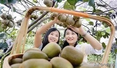 南阳怎样?看完你也会说“中!中!中!”