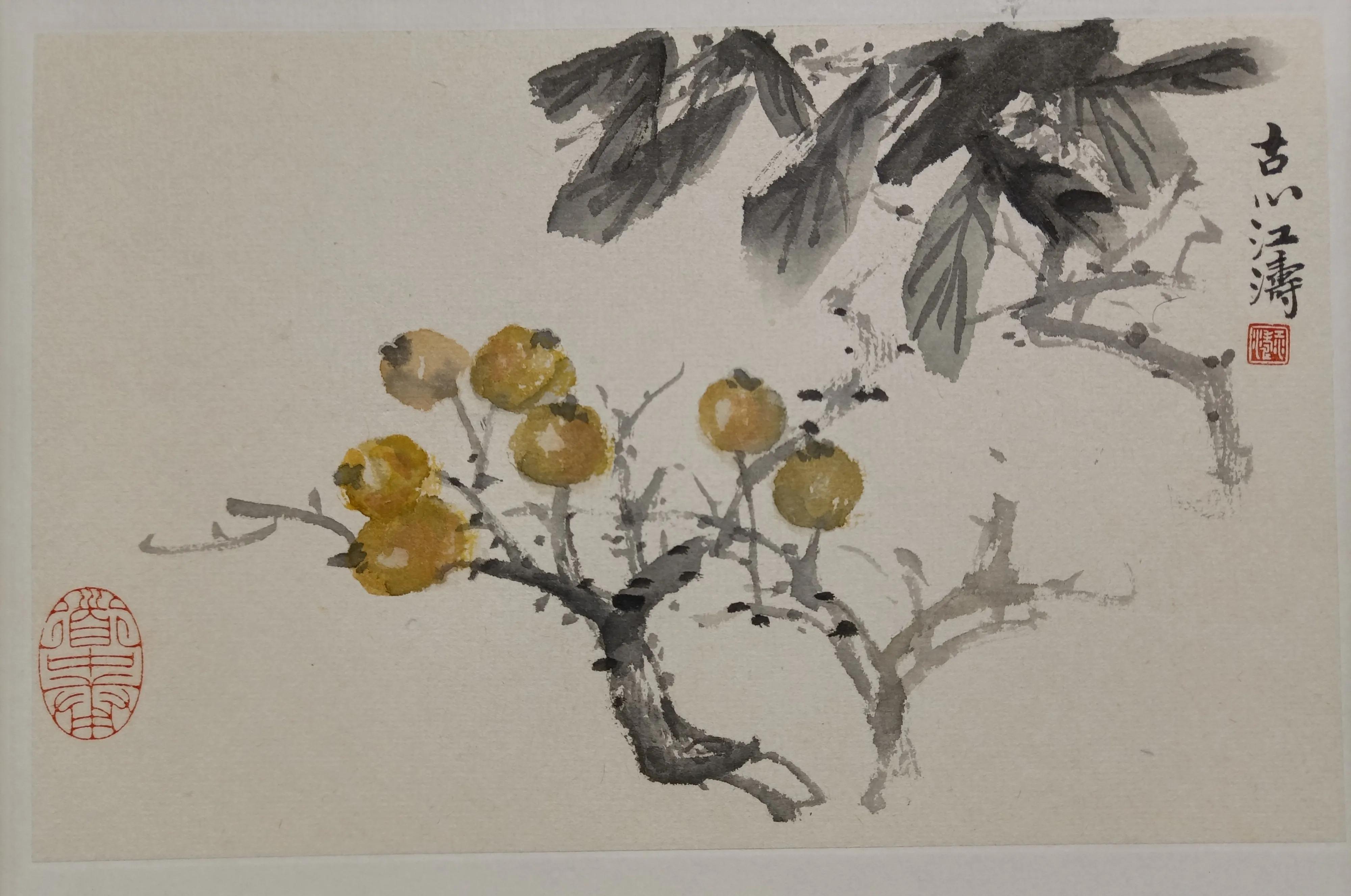 中国书法家江涛,中国墨江介绍视频