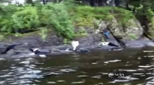 这部电影是根据真实事件改编的吗,这部电影是真实事件改编的吗