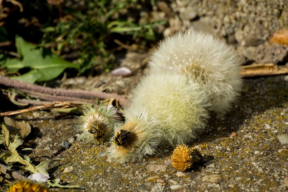 丧兄之痛最伤感的句子,简短干净丧到极致的句子