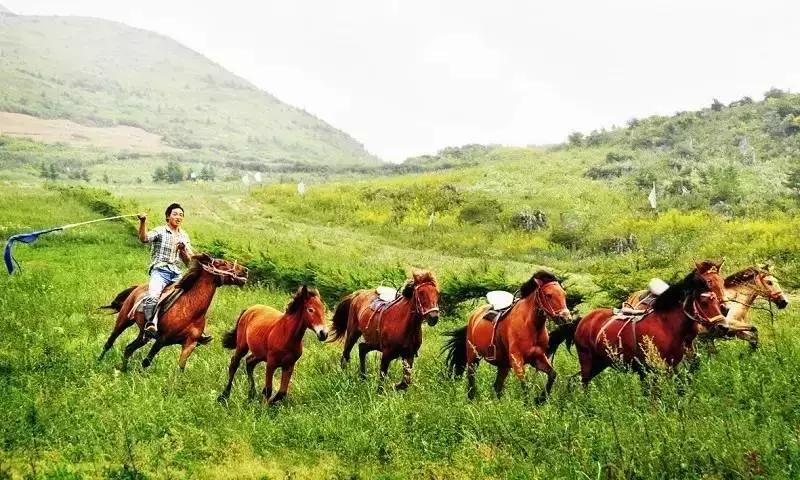 2022骞存仼鏂藉晢涓氶瓍鍔涙帓琛屾,榄呭姏鎵撳崱涔嬪煄鎭╂柦