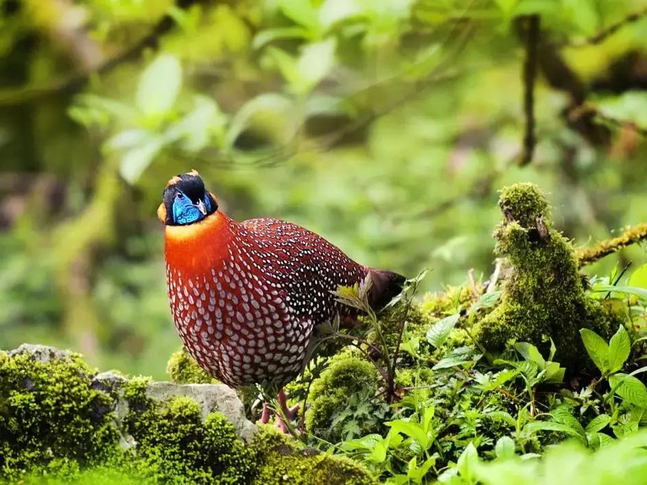 贵州旅游攻略最佳线路小众,贵州自驾小众免费景点