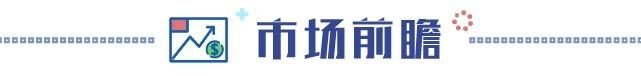 白酒基金最新行情今日分析,明天白酒基金行情最新走势