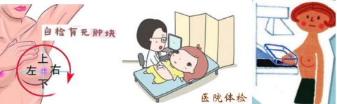 体检乳腺里有好多小疙瘩,体检时发现乳房有结节