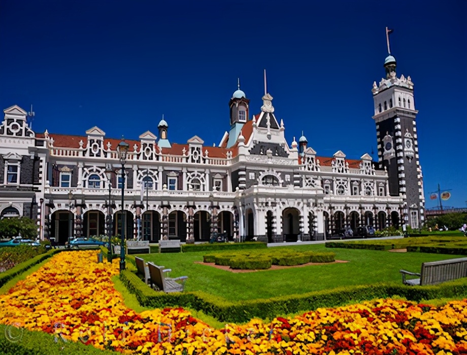 新西兰音乐专业硕士,新西兰音乐学专业