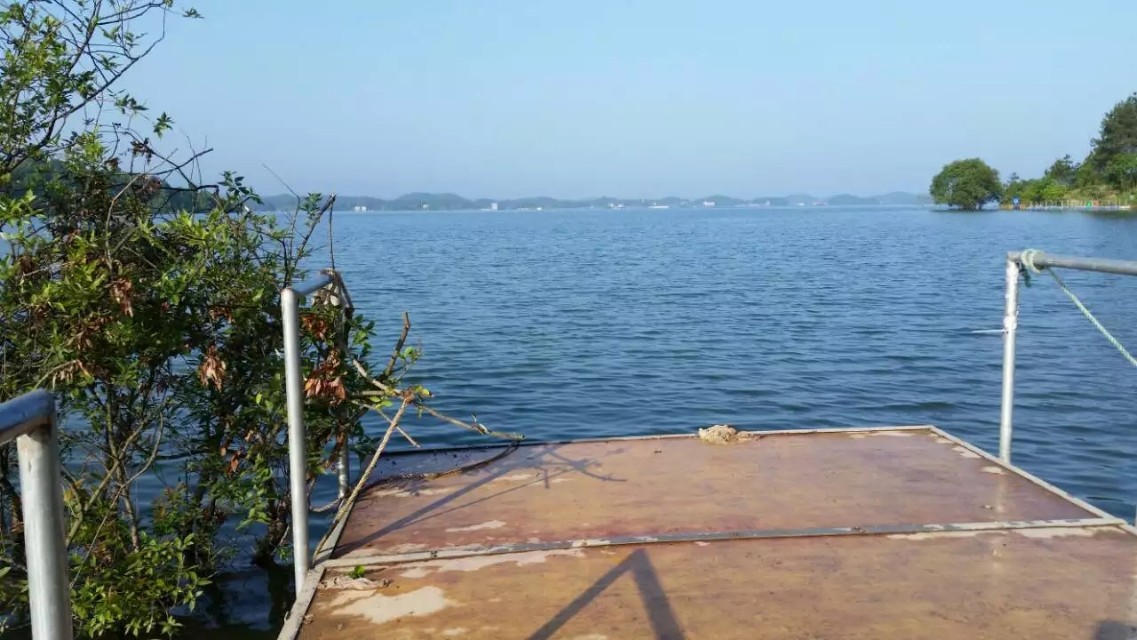 佳钓尼和美人鱼哪个竿子好,佳钓尼在渔具排名