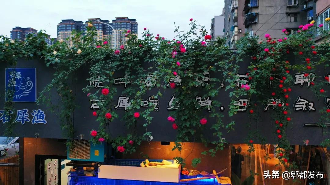 犀浦城市综合体,2018年犀浦新城发展规划