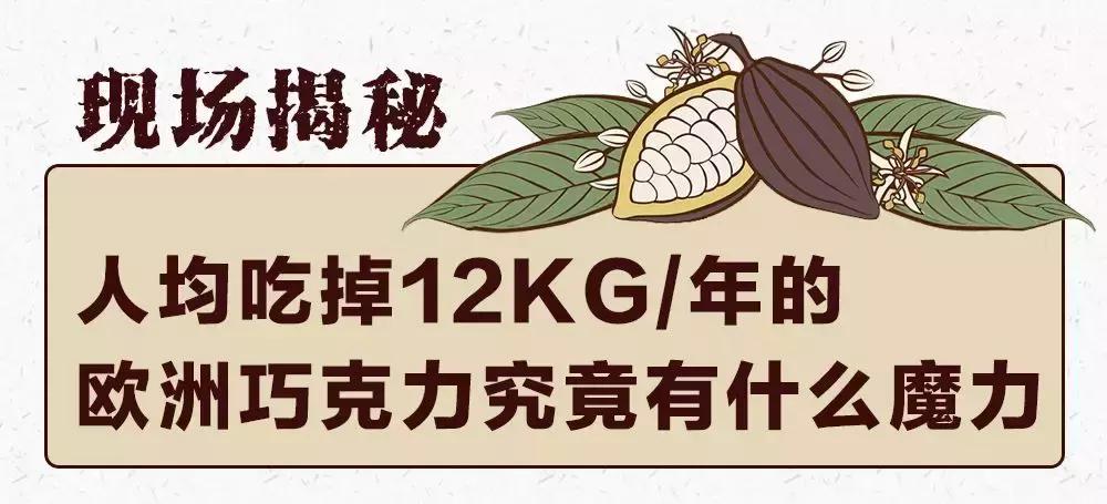 coco新品隐藏款,coco神秘新品是啥