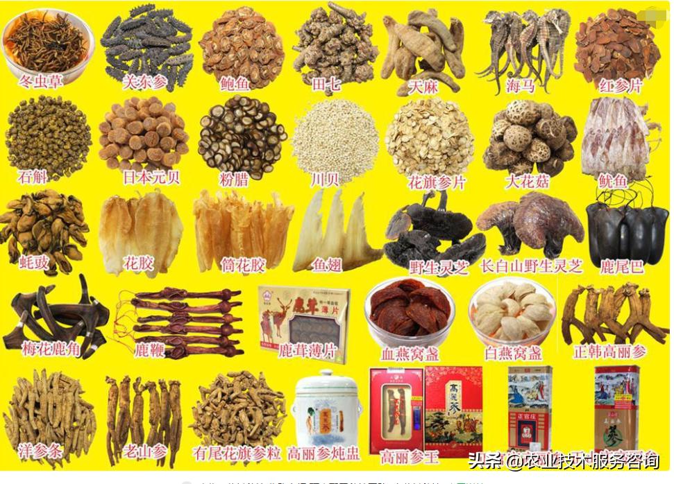 现在最适合种植野生的药材是什么,最适合山区种的药材有哪些