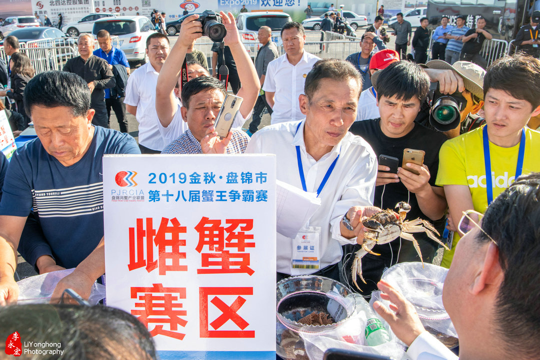 蟹园盘锦河蟹,盘锦赵圈河镇河蟹