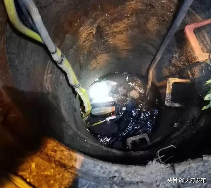 温暖新区，感动你我！2020，我们来了