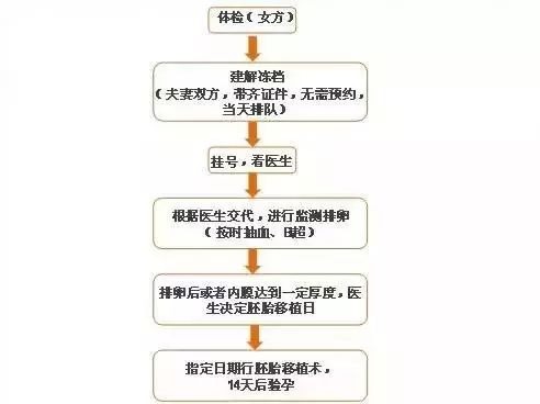 胚胎｜说说胚胎那些事