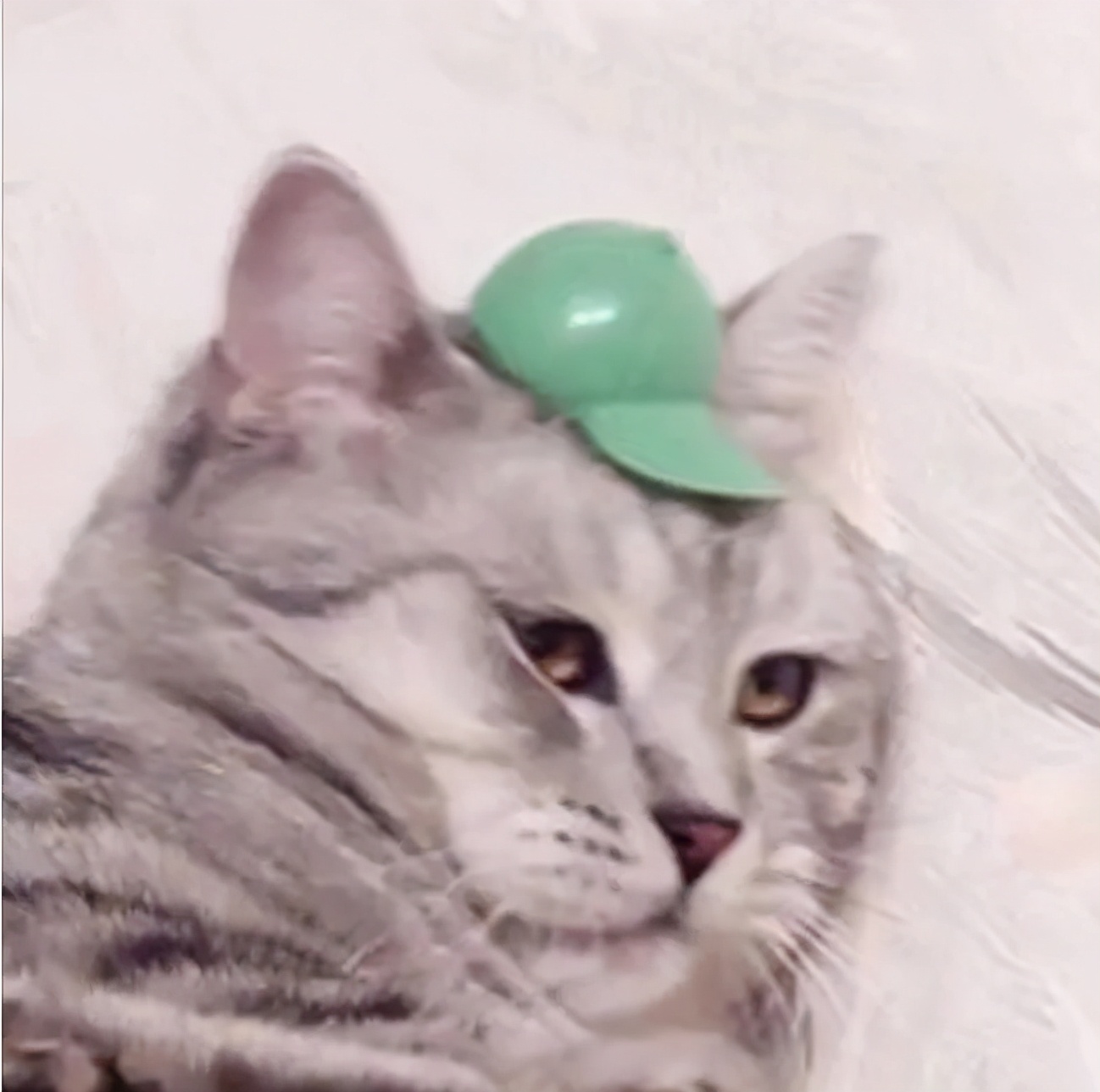 妈妈帽子大脸专用显脸小,棒球帽白色和黑色帽子哪个显脸小