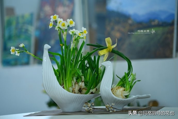 过年买点花,过年了买点什么花草