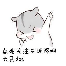 45岁央视主持人与丈夫恩爱20年,她是央视主持人低调嫁普通丈夫