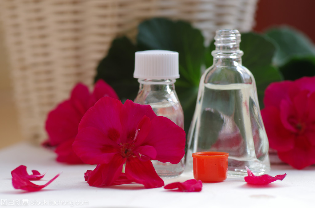 教你认识香料,哪款天竺葵精油好用