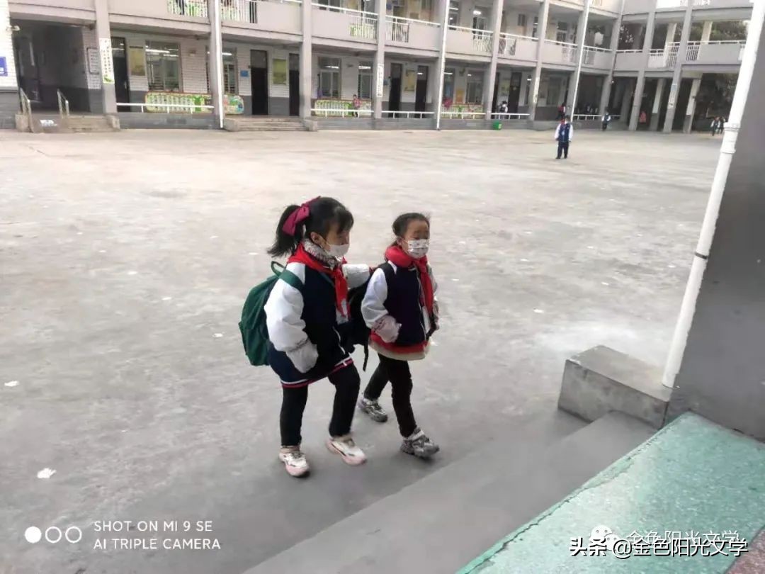 日出即景优秀范文,日出即景好词好段