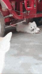 女生必备的奢侈品手链 (轻奢奢华手链)