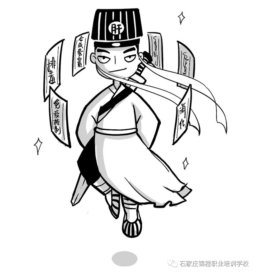 科普漫画脂肪肝,脂肪肝四大误区漫画