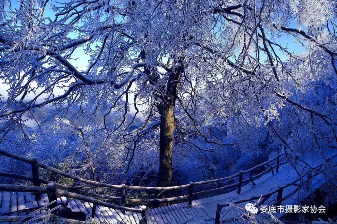 最新风景摄影小品欣赏,娄底景观小品