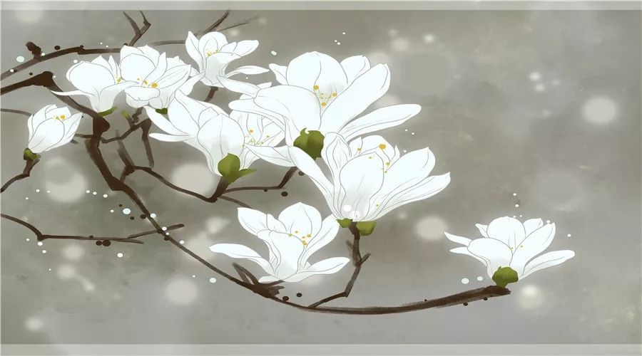 学会放下和释然的经典诗句,释怀放下的经典诗句