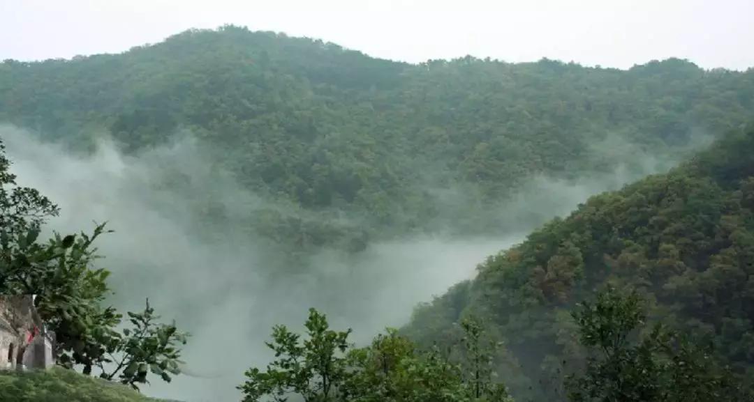 土狗精品｜硕果累累，陕西最好的水果都在这里