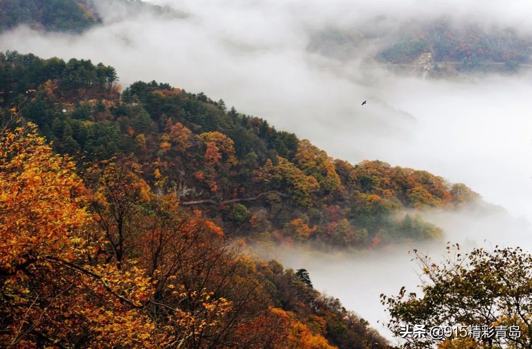 安徽很低调的一个省,安徽被严重低估的景点