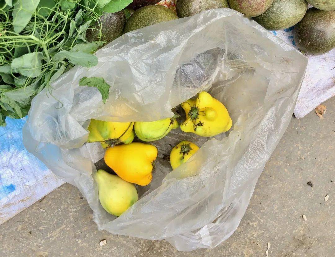 云南带毒的美食,云南带菌的美食