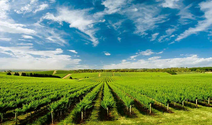 三品红酒微购可靠吗,三品红酒商贸有限公司