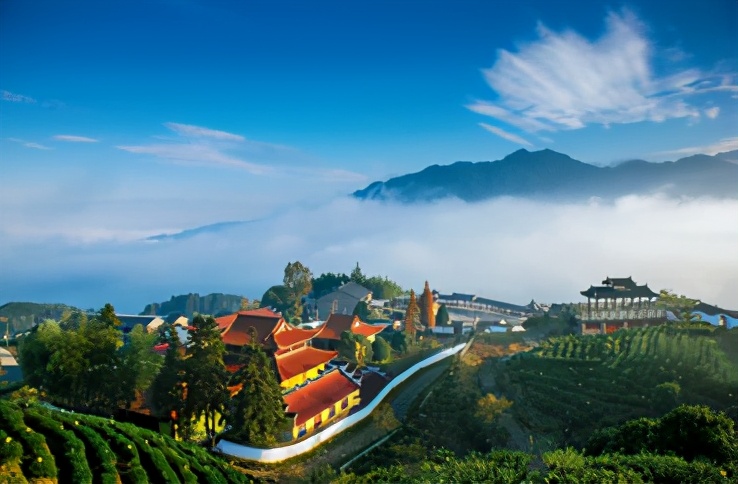 惠明茶叶的功效,惠明茶绿茶