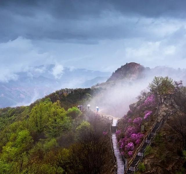 这就是天津话,这就是天津卫原版