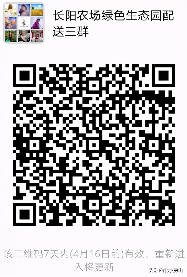 春天房山赏花的地方有哪些,房山赏花攻略