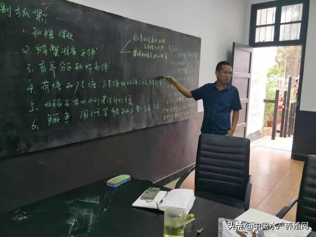 小龙虾如何育春苗,如何养小龙虾技术大全