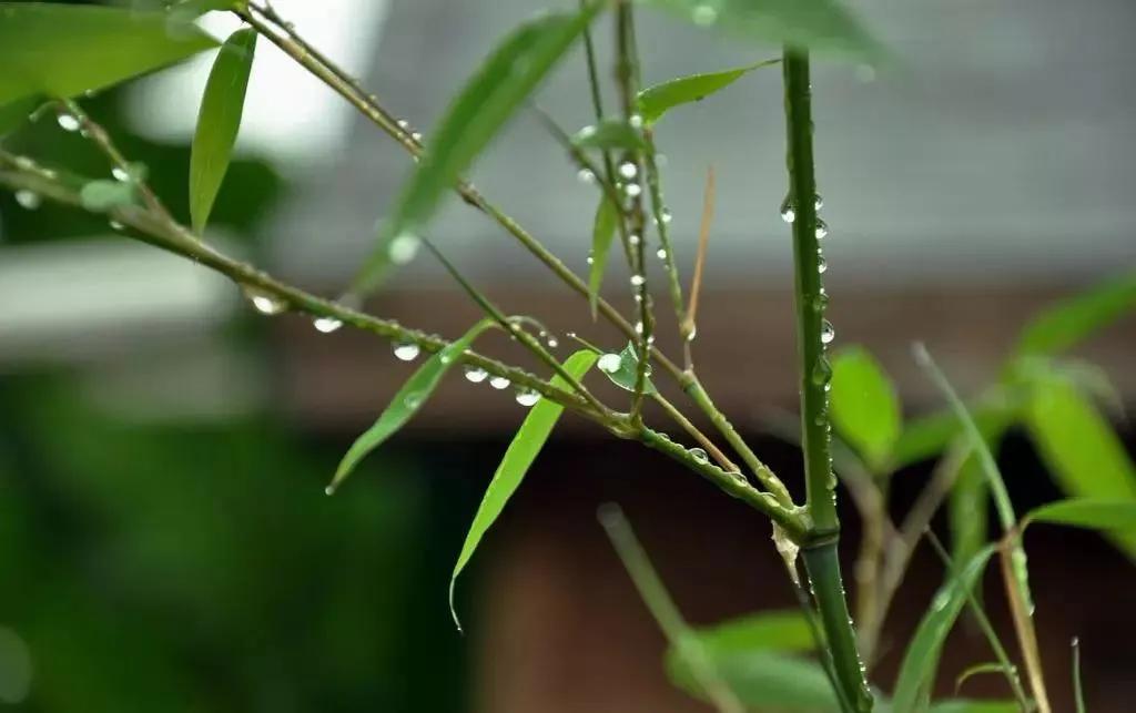 砺剑春秋|大山深处的“老房子”