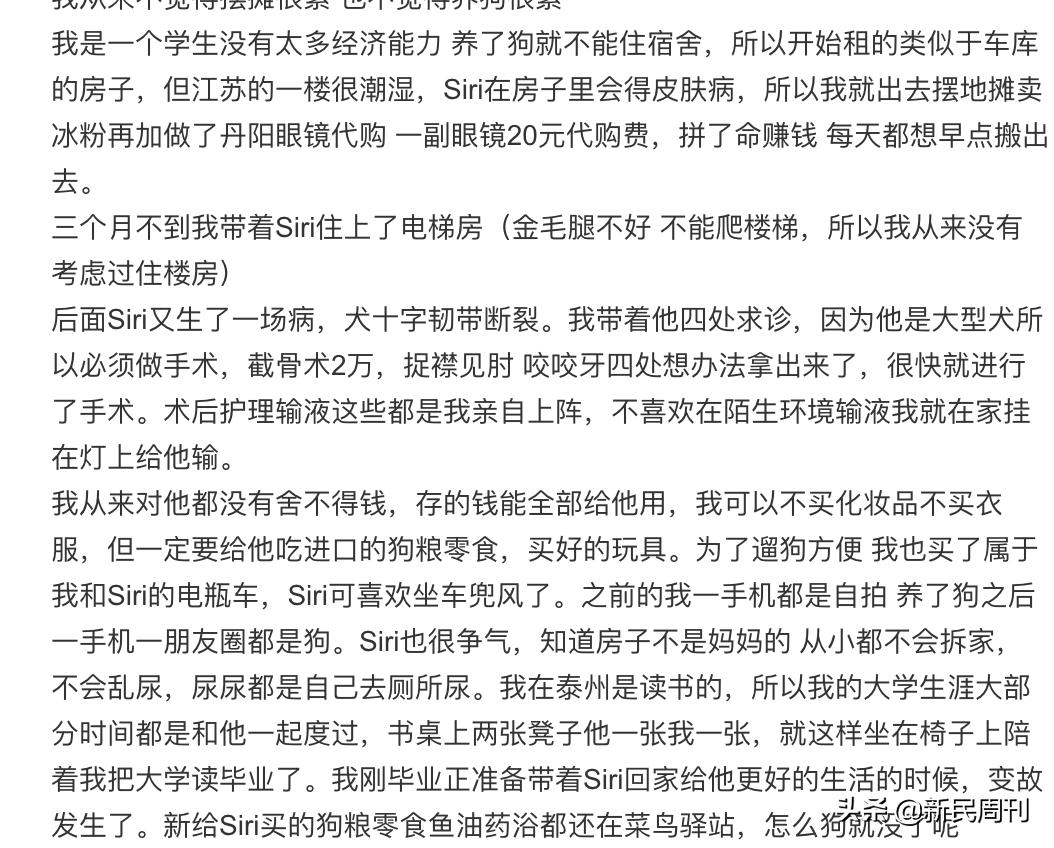 金毛被空运转为陆运,空运改陆运金毛事件