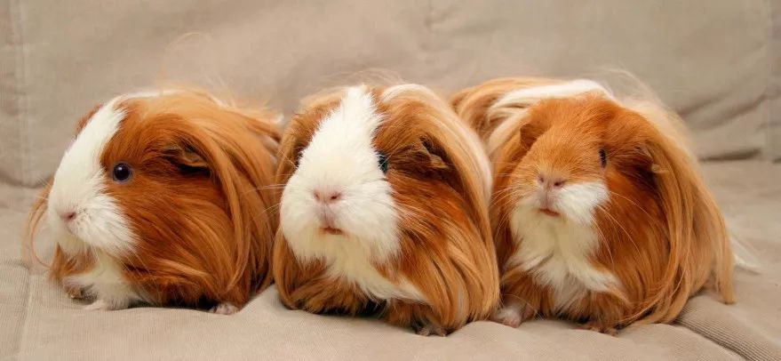 这位医生在妻子身上做了两年研究，挽救了数百万女性的生命