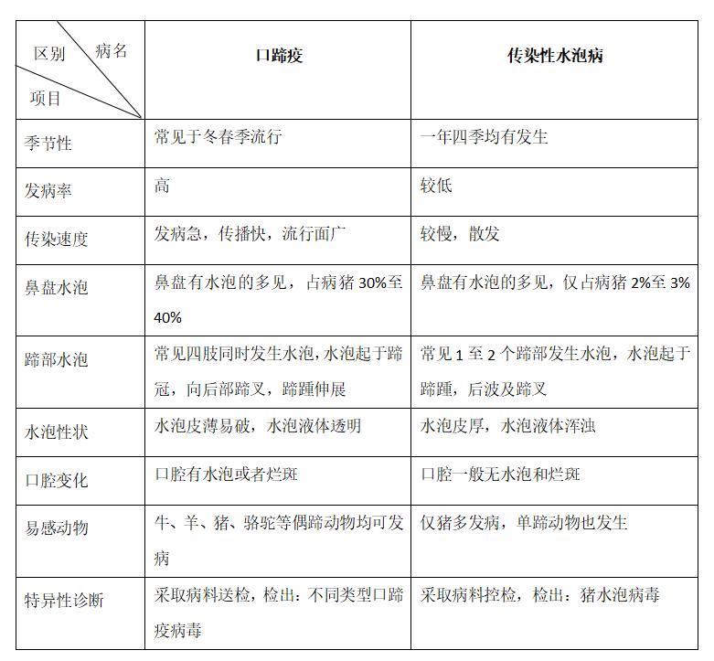 猪场发生口蹄疫复养,猪场得了口蹄疫新生仔猪怎么办